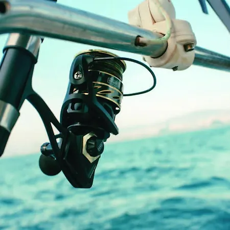 Sailing&stay - A Night Onboard With Your Sailing Experience