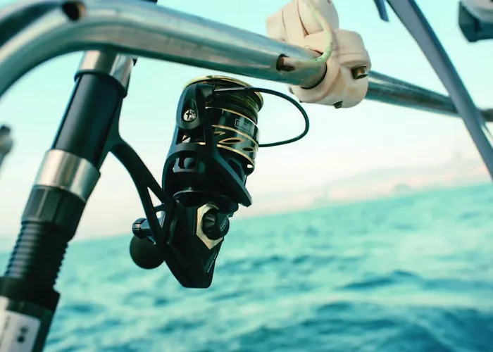 Sailing&stay - A Night Onboard With Your Sailing Experience